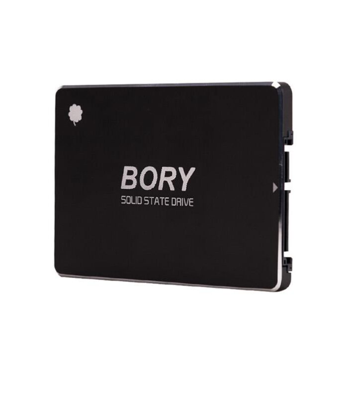 1 TB BORY SATA3 R500-C1T SSD 550/510 MBS (3 YIL GARANTİLİ)