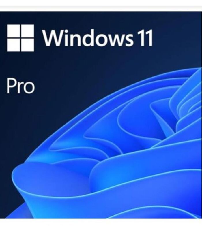 MS WINDOWS 11 PRO 32/64 BIT TR KUTU USB HAV-00159